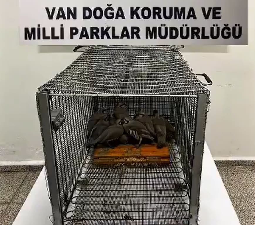 Van’da Avlanırken Canlı Yayın Açan Şahıslara Büyük Ceza!