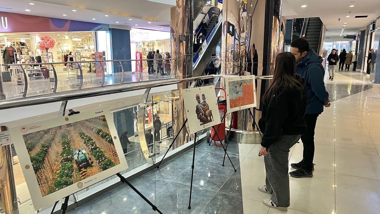 Vanmall Avm’de Ödüllü Fotoğraflar Sergisi Açıldı (3)