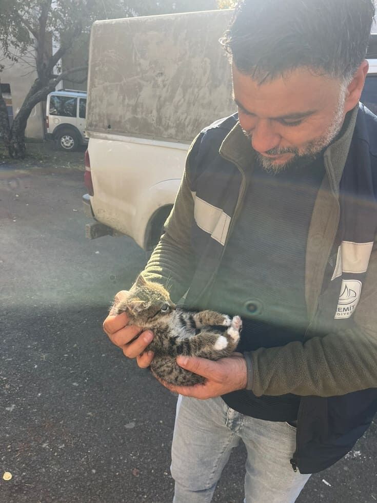 Edremit’te Çatıda Mahsur Kalan Yavru Kedi Kurtarıldı (2)