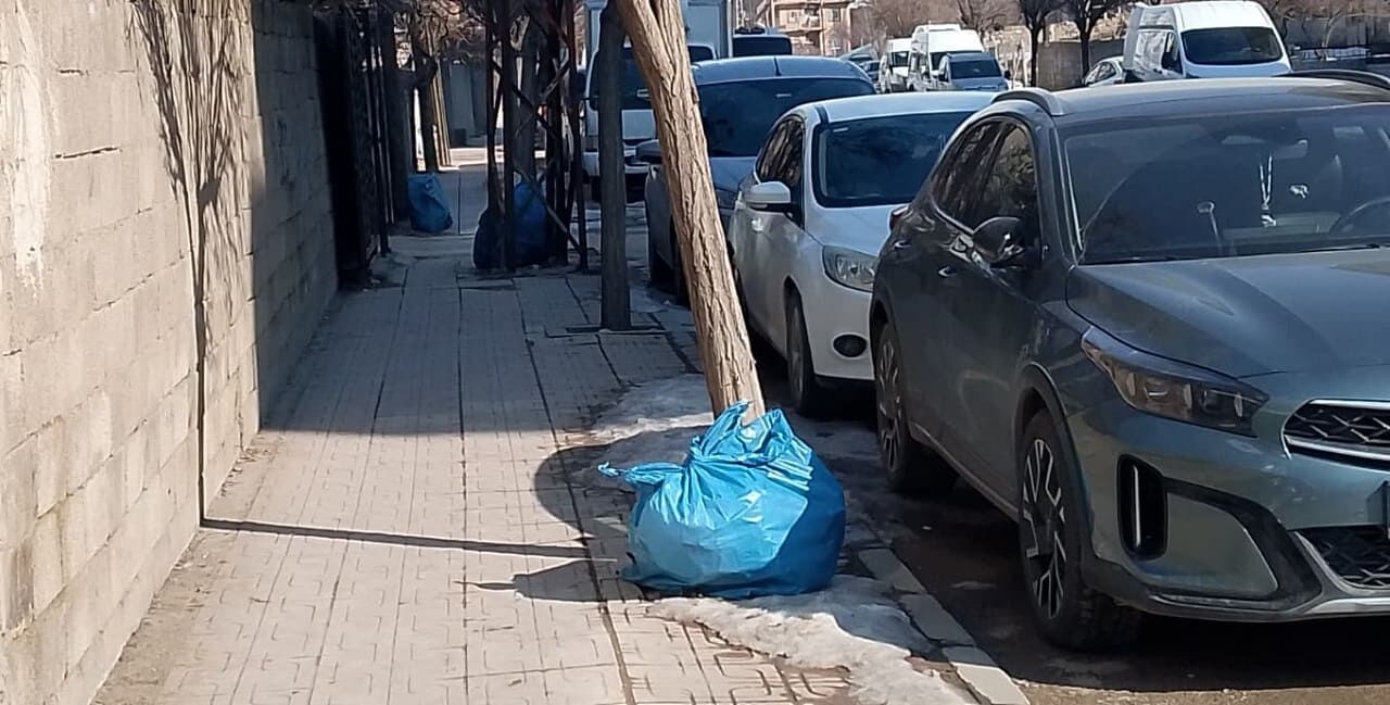 Van Büyükşehir Belediyesi Çöp Kutusu Almaktan Aciz Mi (2)