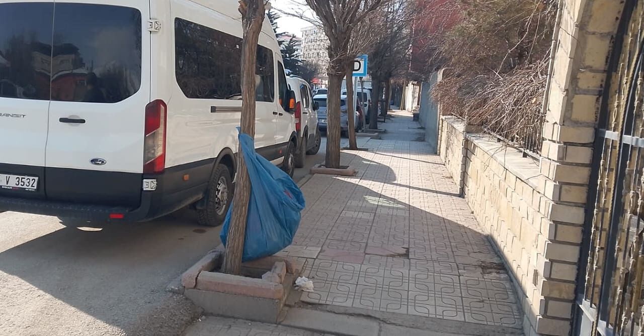 Van Büyükşehir Belediyesi Çöp Kutusu Almaktan Aciz Mi