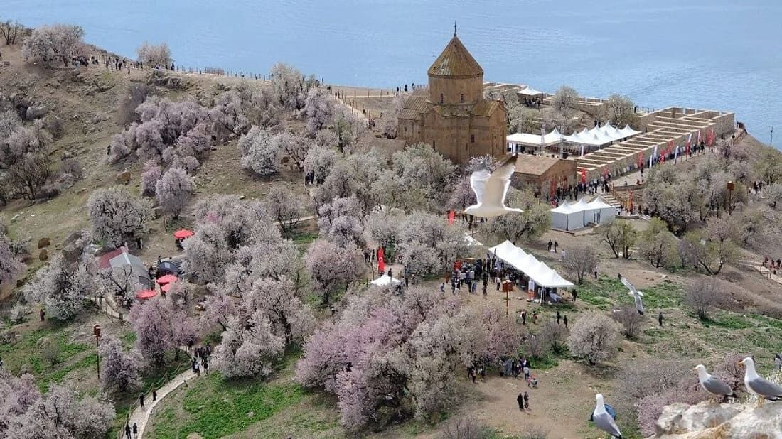 Van’da Akdamar Badem Çiçeği Festivali Için Geri Sayım Başladı (1)