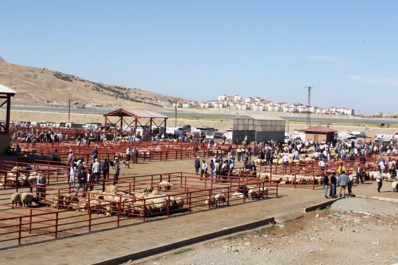 Vantb Başkanı Süer Turizmdeki Durgunluk Hayvancılığı Da Olumsuz Etkiliyor (1)-1