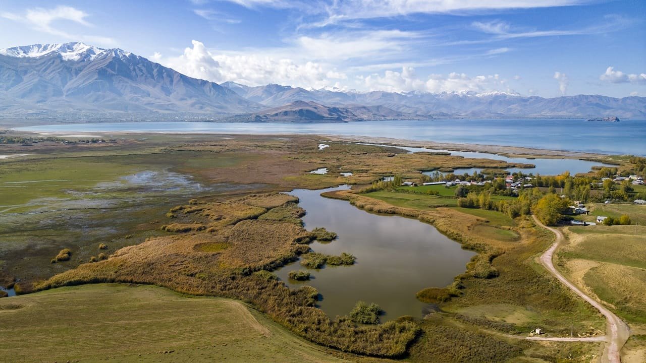 Dilkaya Sazlıkları