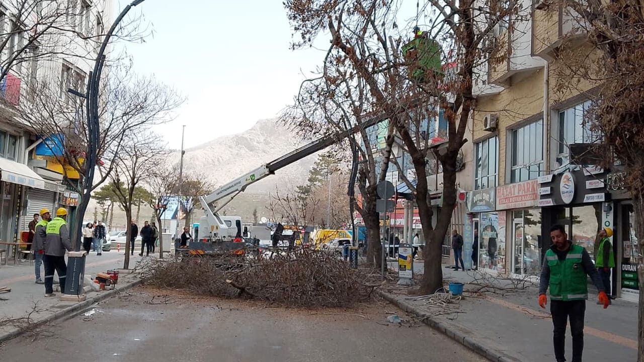 Van’da Ağaç Budama Çalışmaları Devam Ediyor (2)