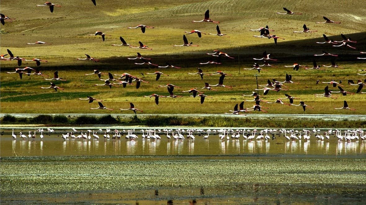 Van’da Fotoğraf Çekilecek En Güzel Noktalar (4)