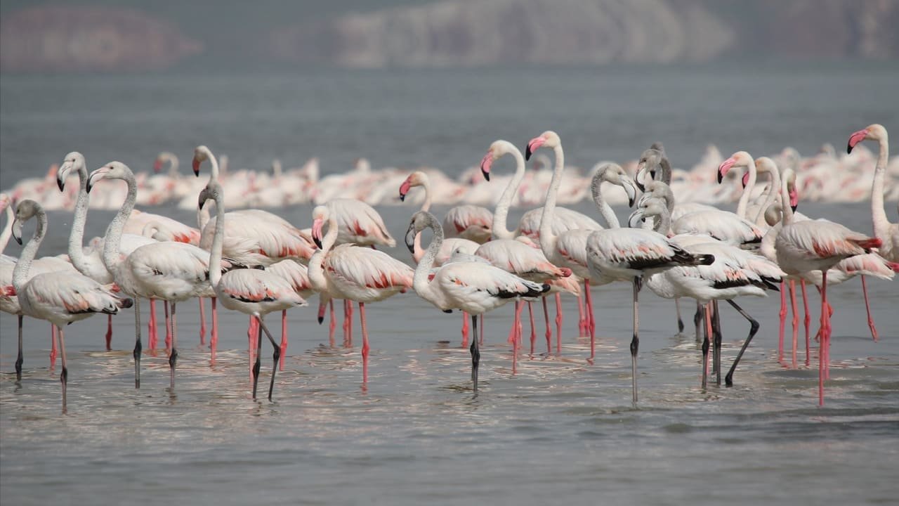 Van’da Fotoğraf Çekilecek En Güzel Noktalar (5)