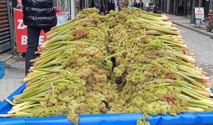 Van’da Ilk Uçkunlar Tezgaha Çıktı Fiyatlar Cep Yakıyor (1)