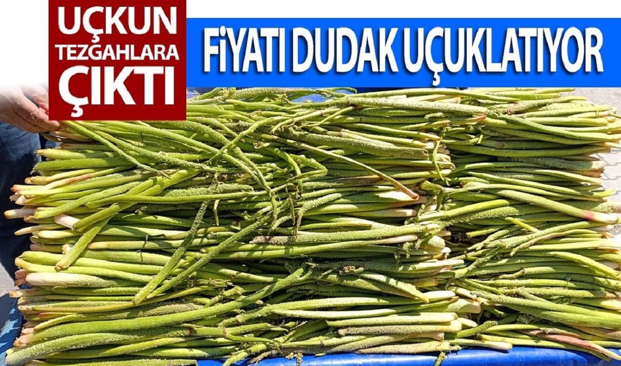 Van’da ilk uçkunlar tezgaha çıktı: Fiyatlar cep yakıyor