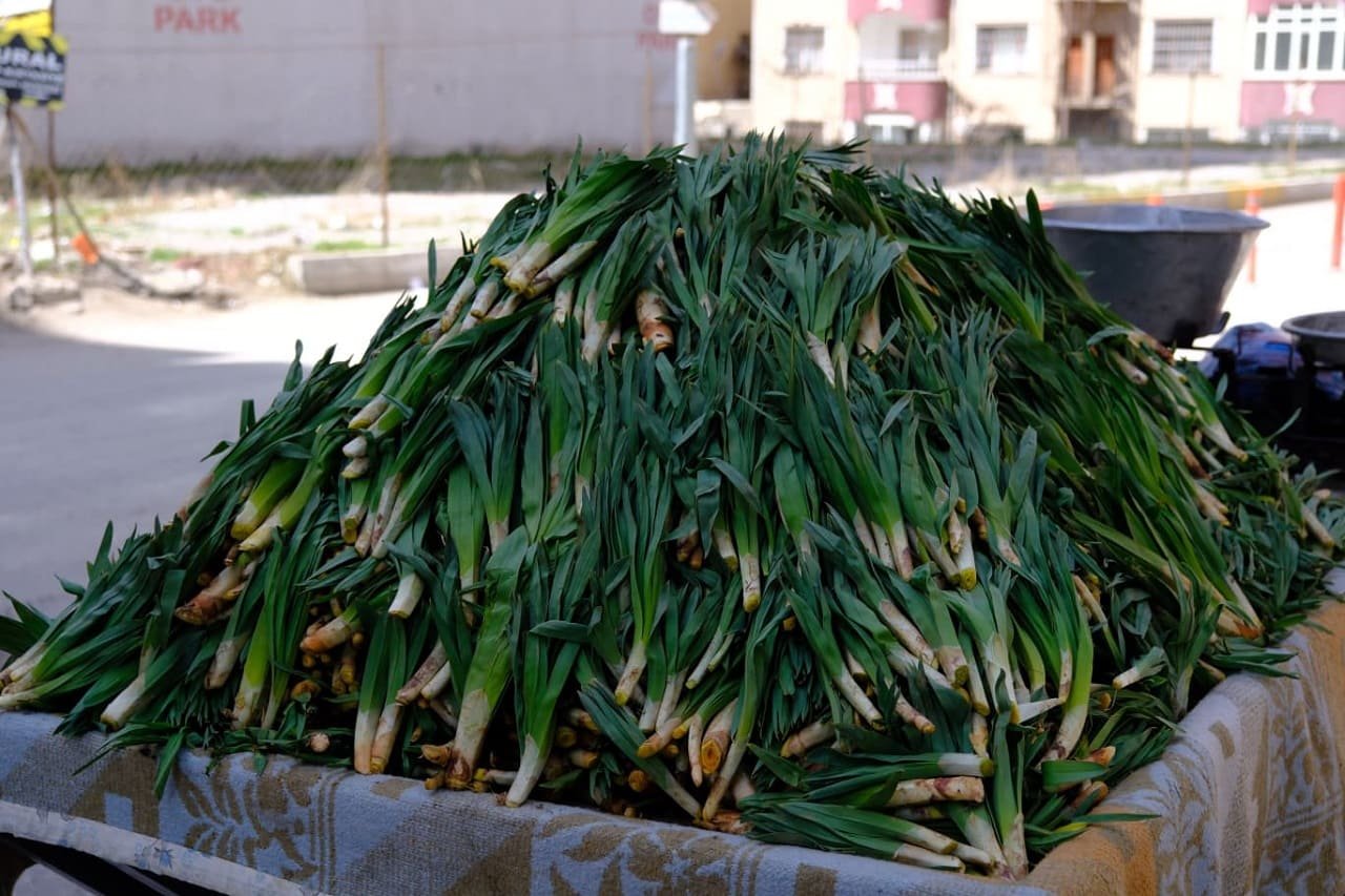 Van’da Şifa Kaynağı Çiriş, Tezgahlardaki Yerini Aldı (1)