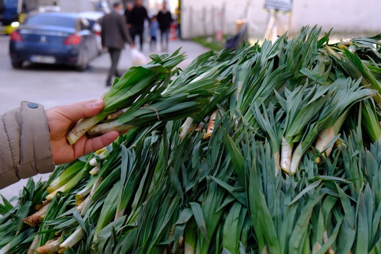 Van’da Şifa Kaynağı Çiriş, Tezgahlardaki Yerini Aldı (7)