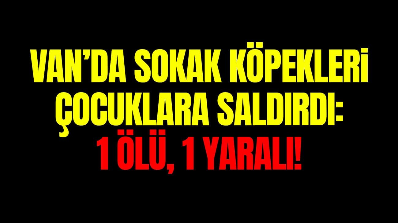 Van’da sokak köpekleri çocuklara saldırdı: 1 ölü, 1 yaralı!
