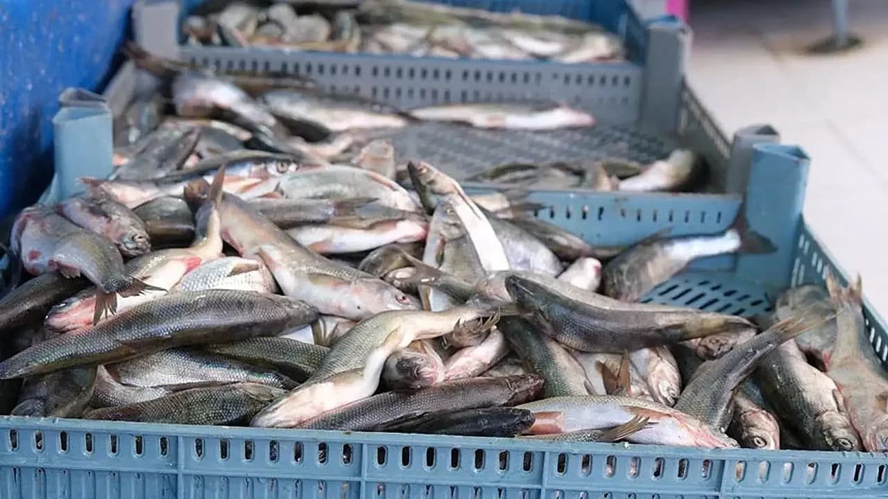 Vanlılar Dikkat! 47 Bin Tl Para Cezası Verilecek (2)