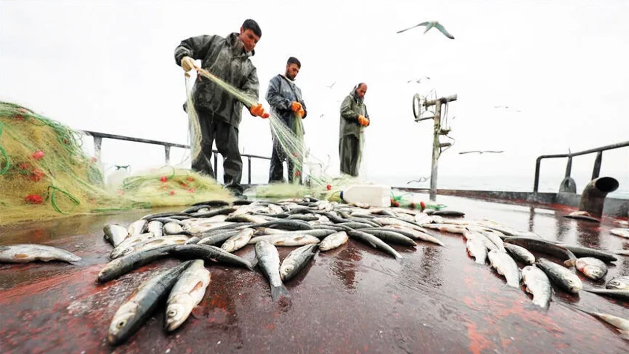 Vanlılar Dikkat! 47 Bin Tl Para Cezası Verilecek (3)