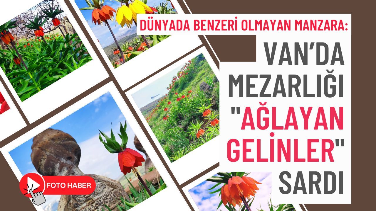 Dünyada benzeri olmayan manzara: Van’da Mezarlığı "Ağlayan Gelinler" sardı