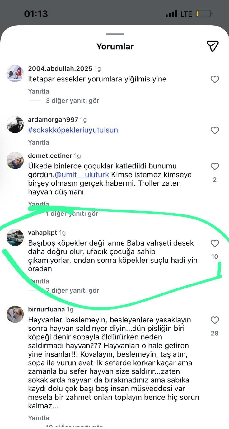 “Mama Lobisinden Van’daki Köpek Saldırısına Ilişkin Insanlık Dışı Yorumlar! (1)