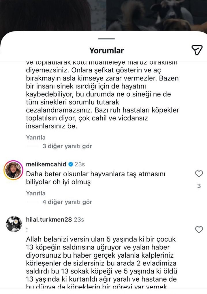 “Mama Lobisinden Van’daki Köpek Saldırısına Ilişkin Insanlık Dışı Yorumlar! (3)