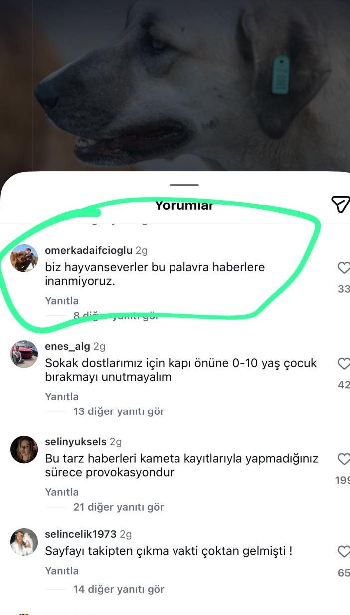 “Mama Lobisinden Van’daki Köpek Saldırısına Ilişkin Insanlık Dışı Yorumlar! (4)