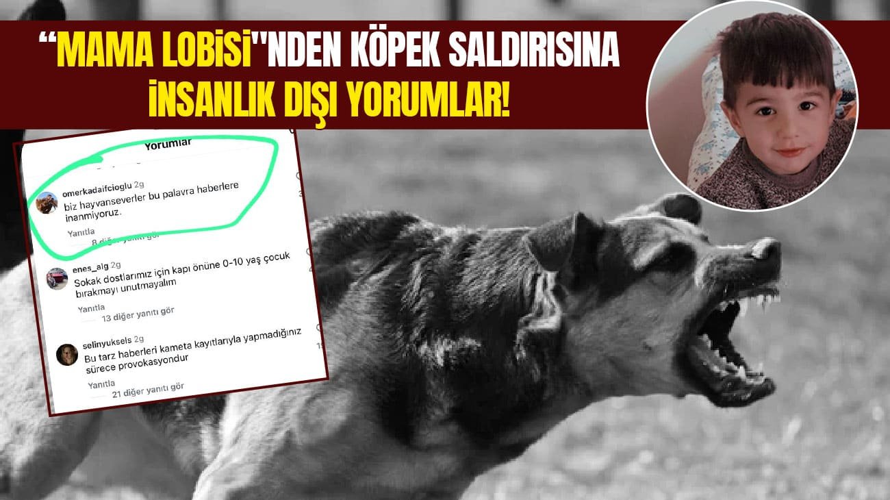 “Mama lobisi"nden Van’daki köpek saldırısına ilişkin insanlık dışı yorumlar!