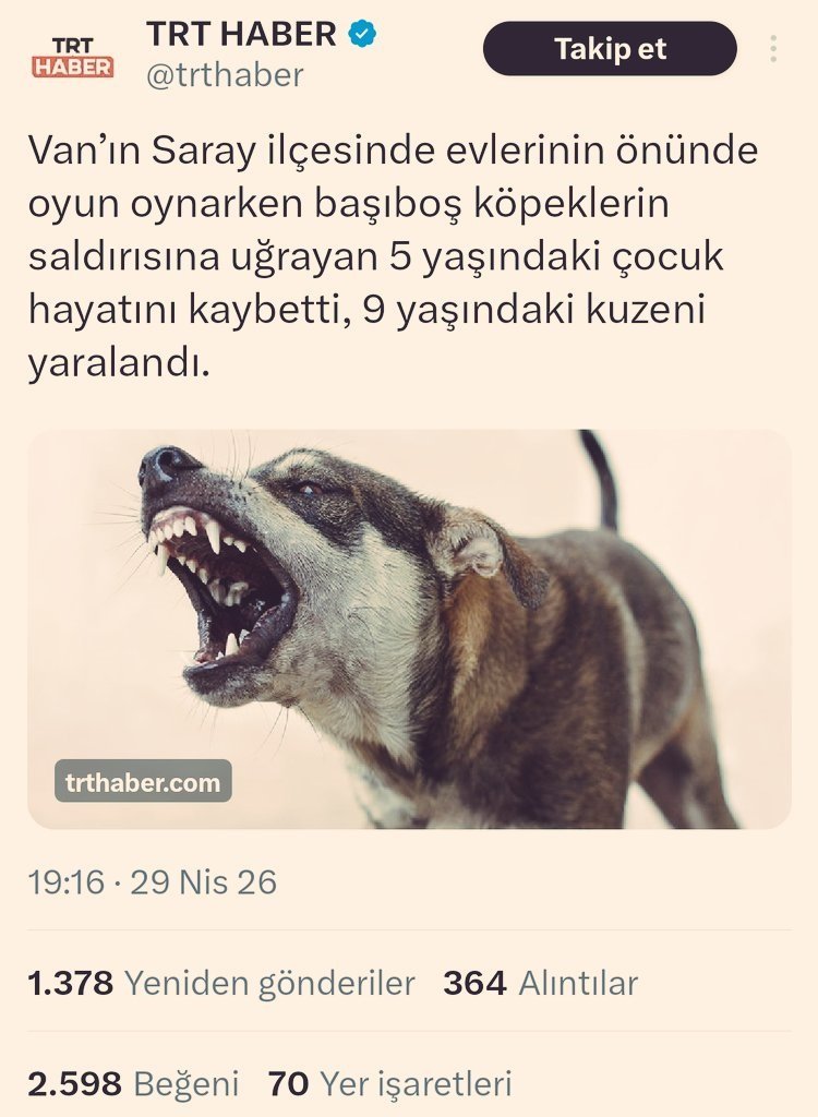 Trt Haber, Van’daki Köpek Saldırısı Haberini Sildi! (1)-2