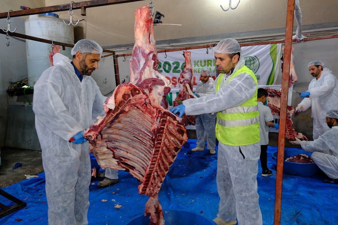 Van Umut Kervanı’ndan Toplu Kurban Kesimi! (15)
