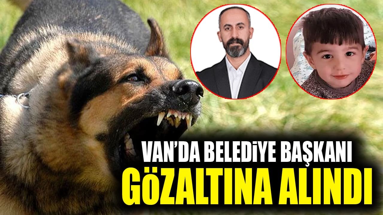 Van’da belediye başkanı gözaltına alındı