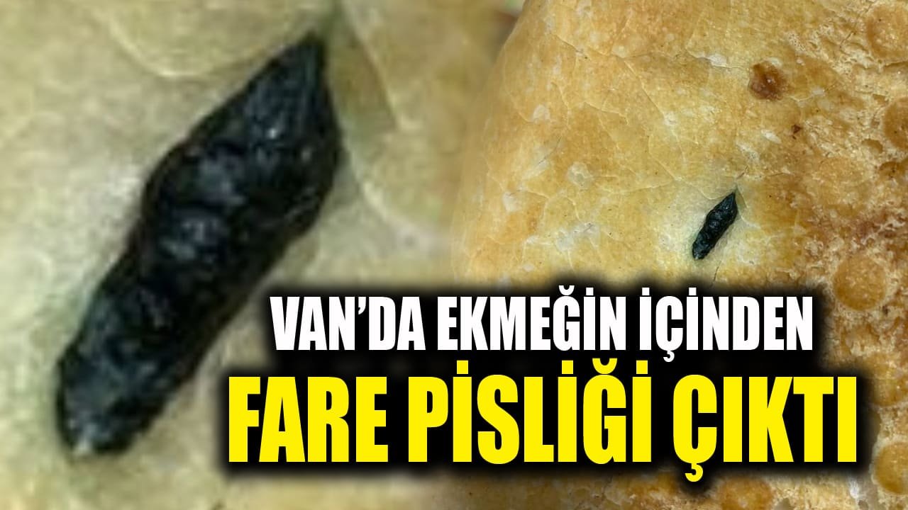 Van’da ekmeğin içinden fare pisliği çıktı