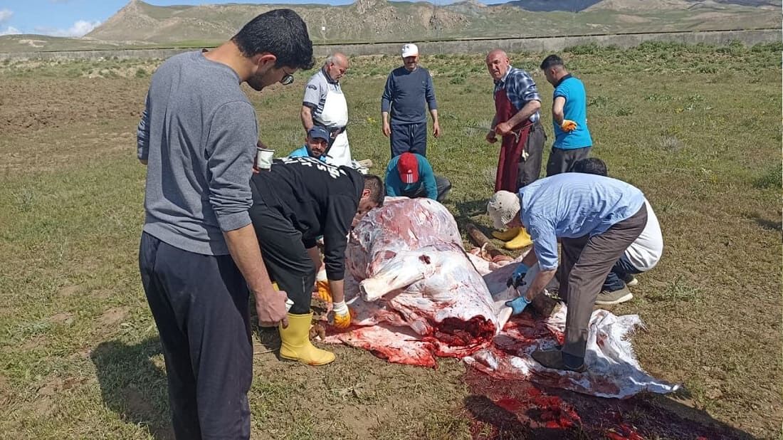 Van’da Kurbanlıklar Kesildi! (1)