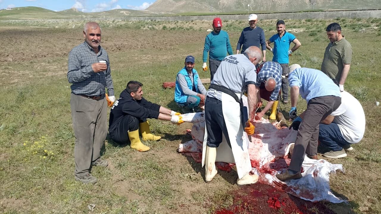 Van’da Kurbanlıklar Kesildi! (2)