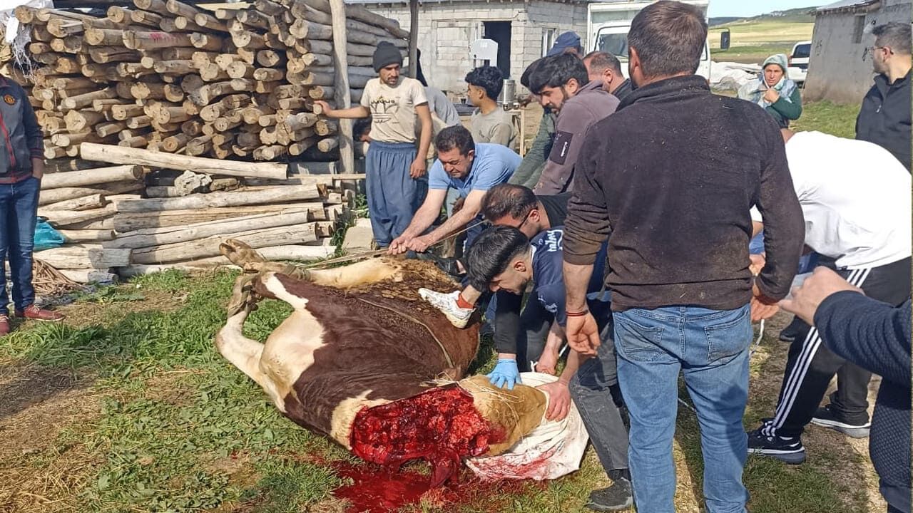 Van’da Kurbanlıklar Kesildi! (3)