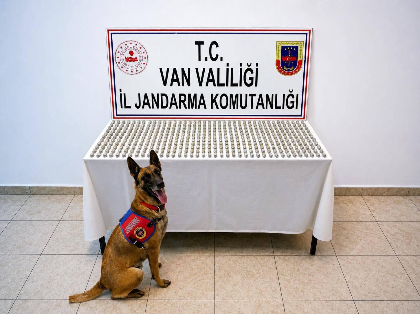 Van'da midesinde esrar taşıyan 8 kişi yakalandı!