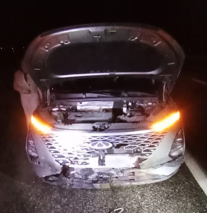 Van’da Otomobil Domuza Çarptı! (2)