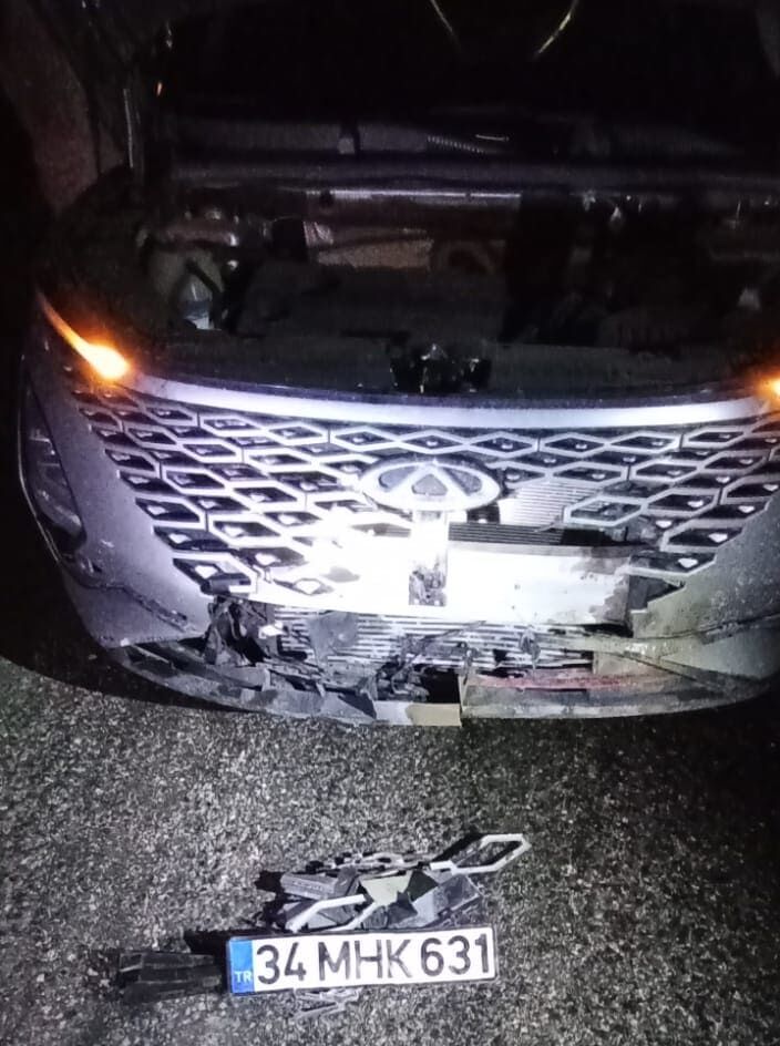Van’da Otomobil Domuza Çarptı! (3)