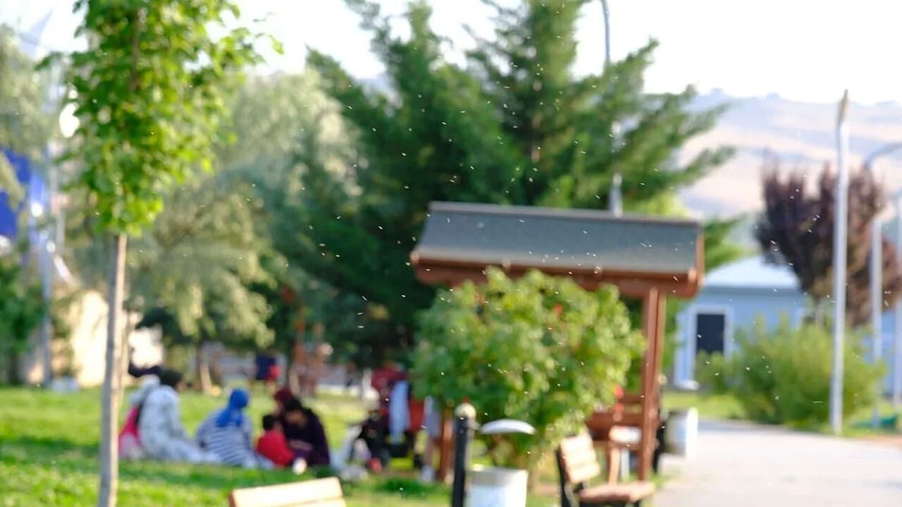 Van Sorunlarla Boğuşuyor! Kenti Yönetenler Nerede (2)