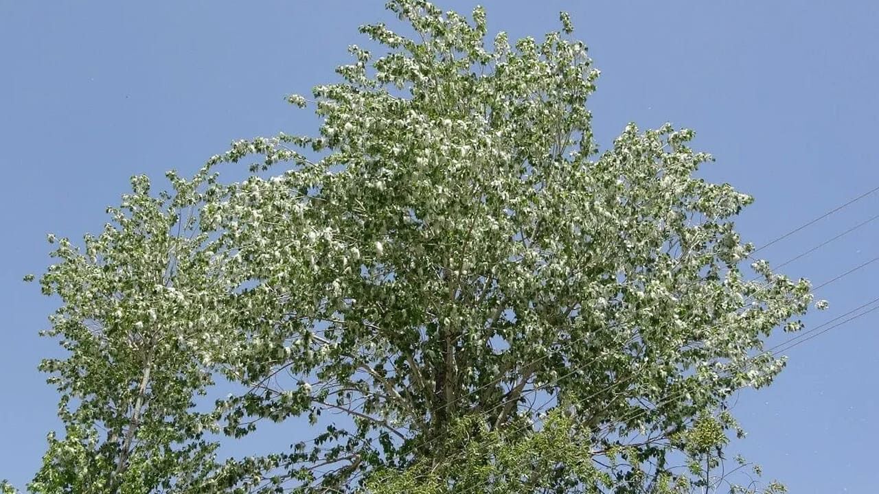 Van Sorunlarla Boğuşuyor! Kenti Yönetenler Nerede (3)
