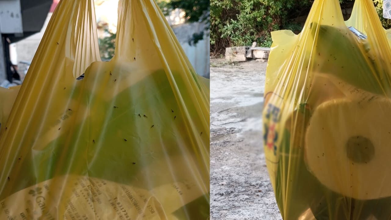 Van Sorunlarla Boğuşuyor! Kenti Yönetenler Nerede (6)