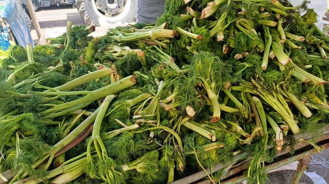 Van’da O Bitkileri Kökünden Sökenlere 699 Bin Tl Ceza Verilecek (2)