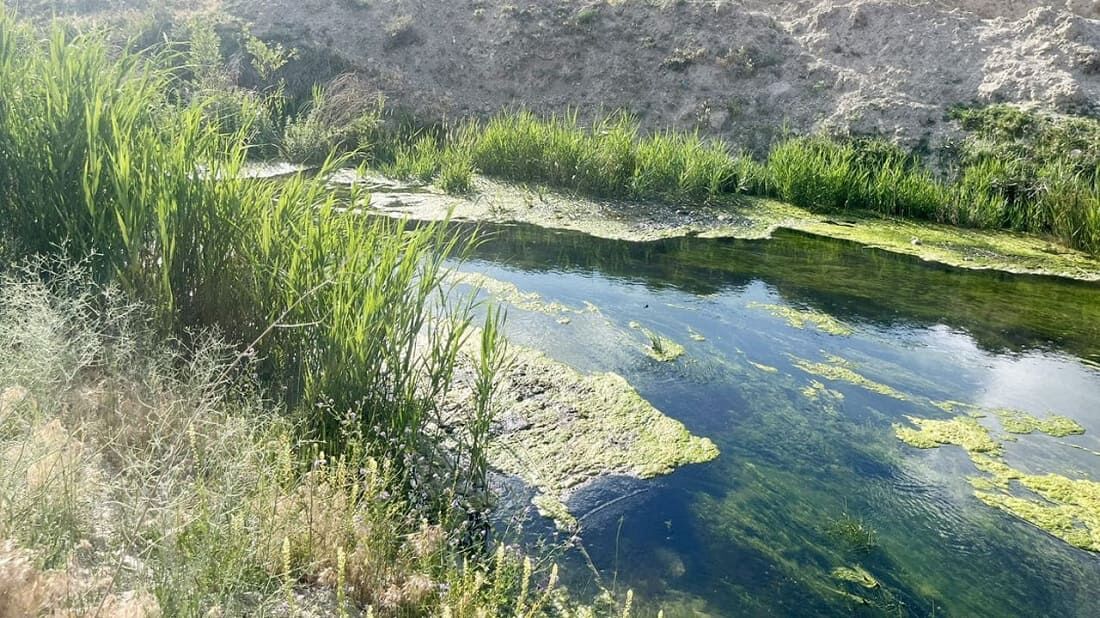 Tarihi Şamran Kanalı’nda Su Yolu Temizlenecek (1)
