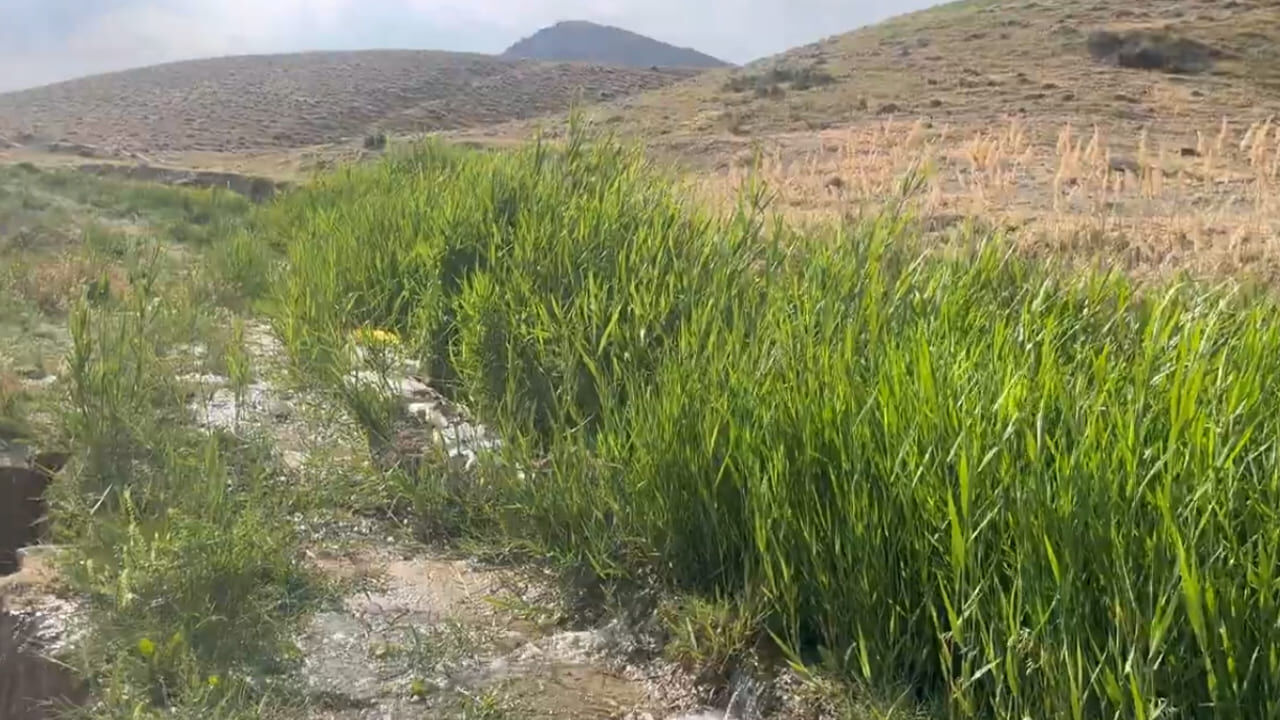 Tarihi Şamran Kanalı’nda Su Yolu Temizlenecek (2)