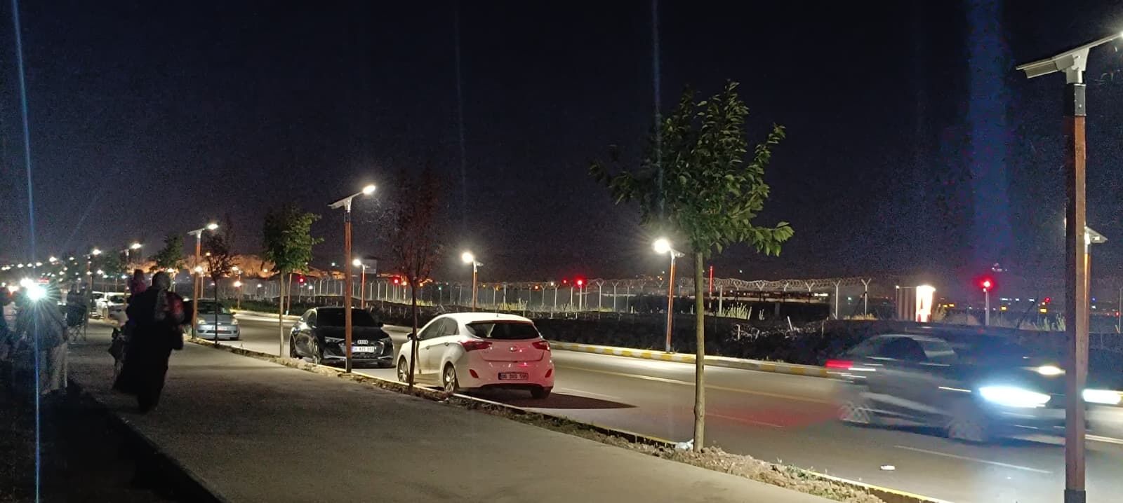 Van Sahil Yolu’nda Sinek Istilası! (2)