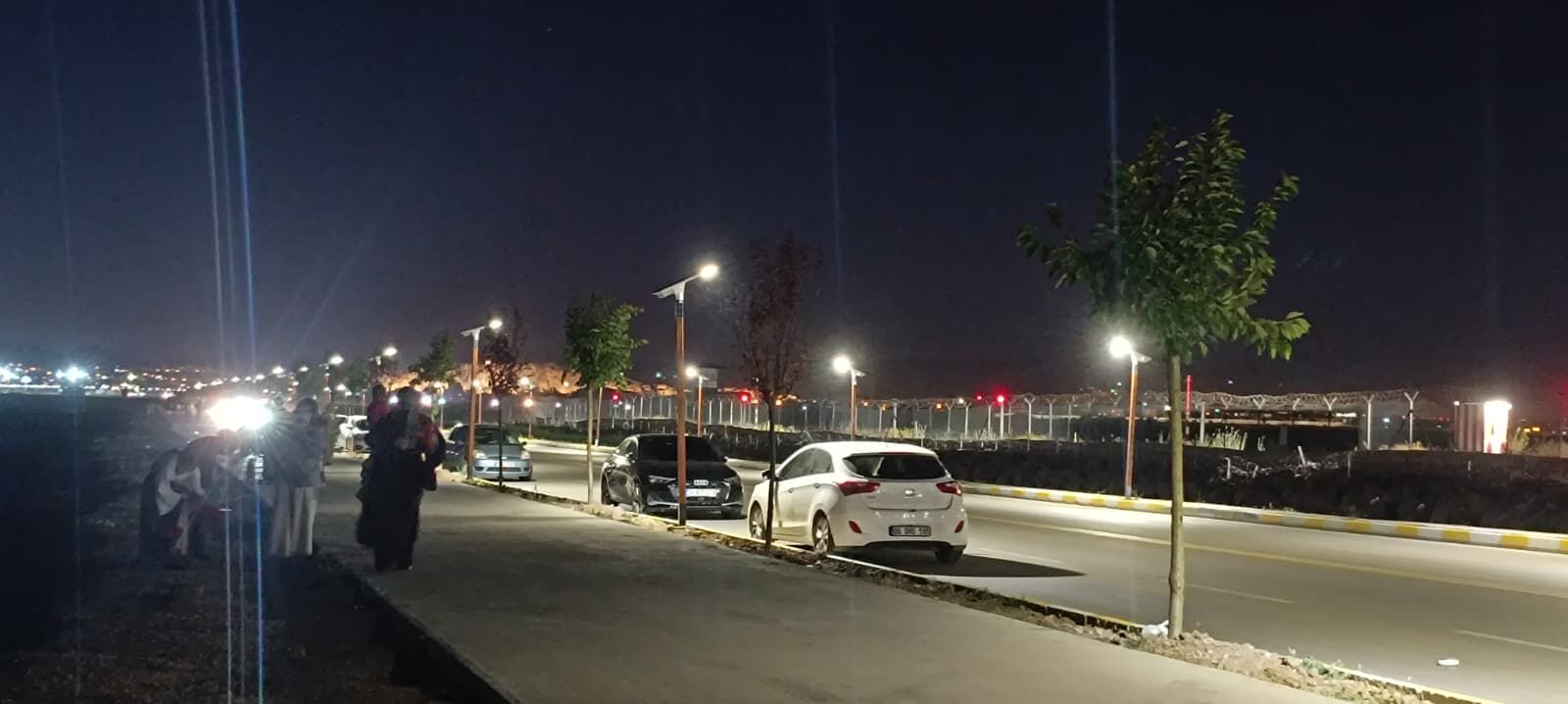 Van Sahil Yolu’nda Sinek Istilası! (3)