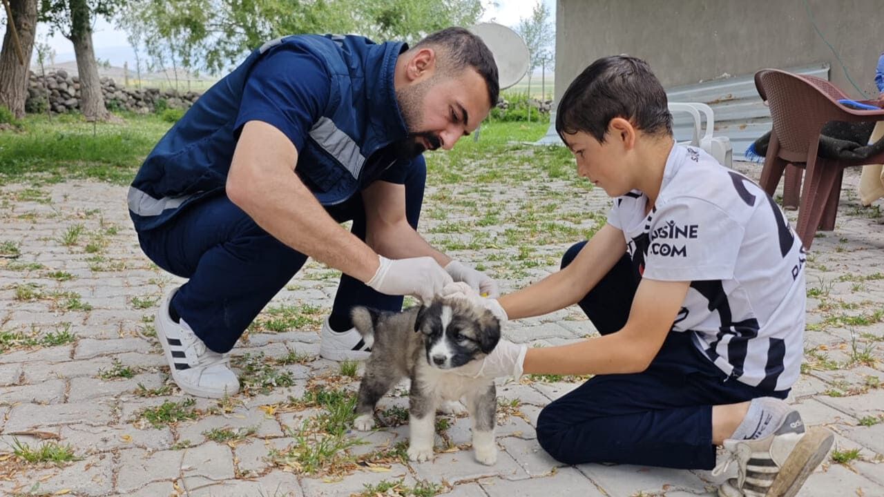 Van'da Kuduz Alarmı! Ekipler Sahaya Indi (1)