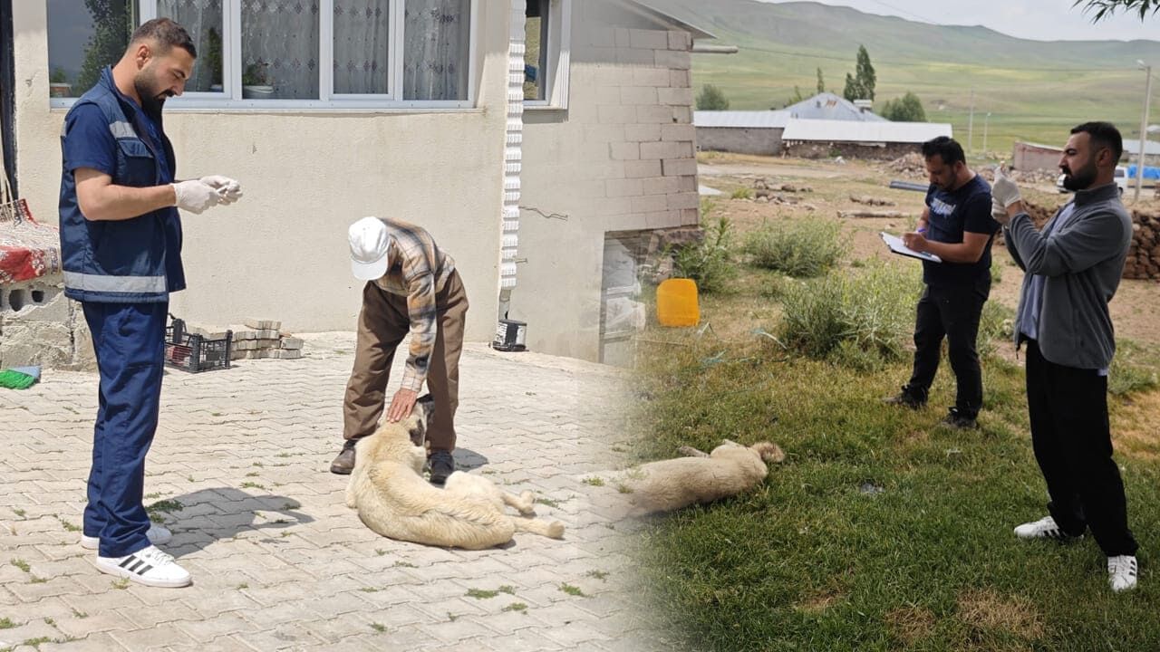 Van'da Kuduz Alarmı! Ekipler Sahaya Indi (3)