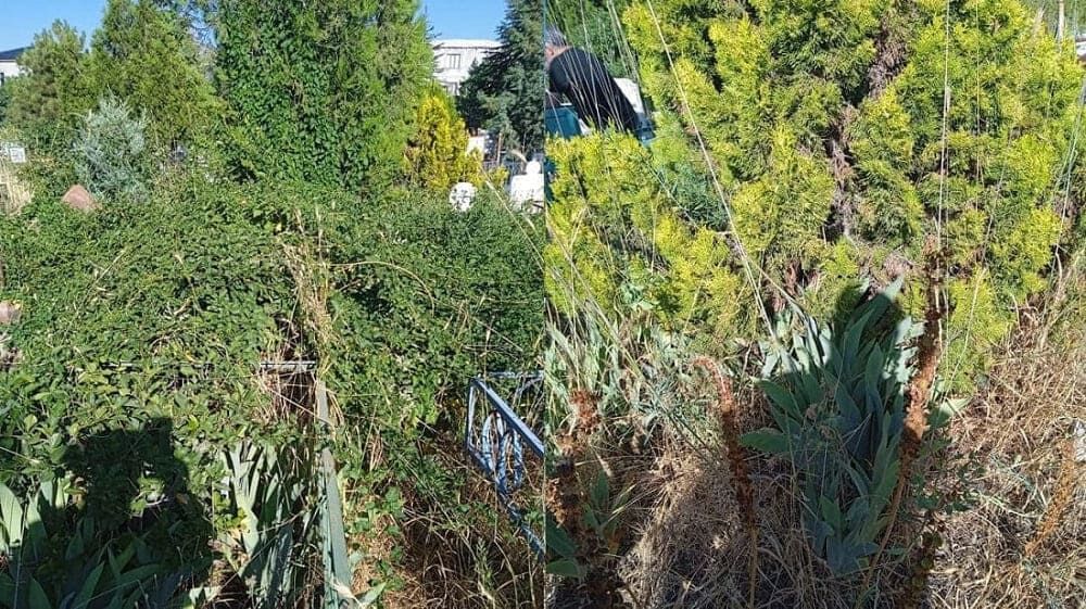 Van’da Şehir Mezarlıkları Ormanlarına Döndü! (2)