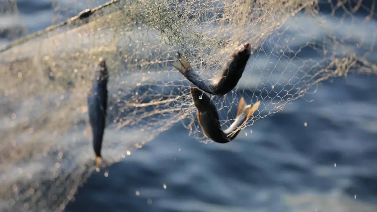Van’da Yasak Sona Eriyor! Son Gün 12 Gün (2)