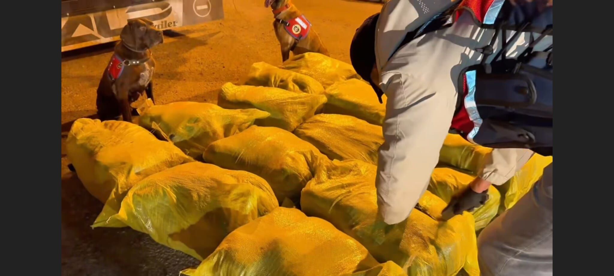 Van’da Yüzlerce Kilo Uyuşturucu Ele Geçirildi! (2)