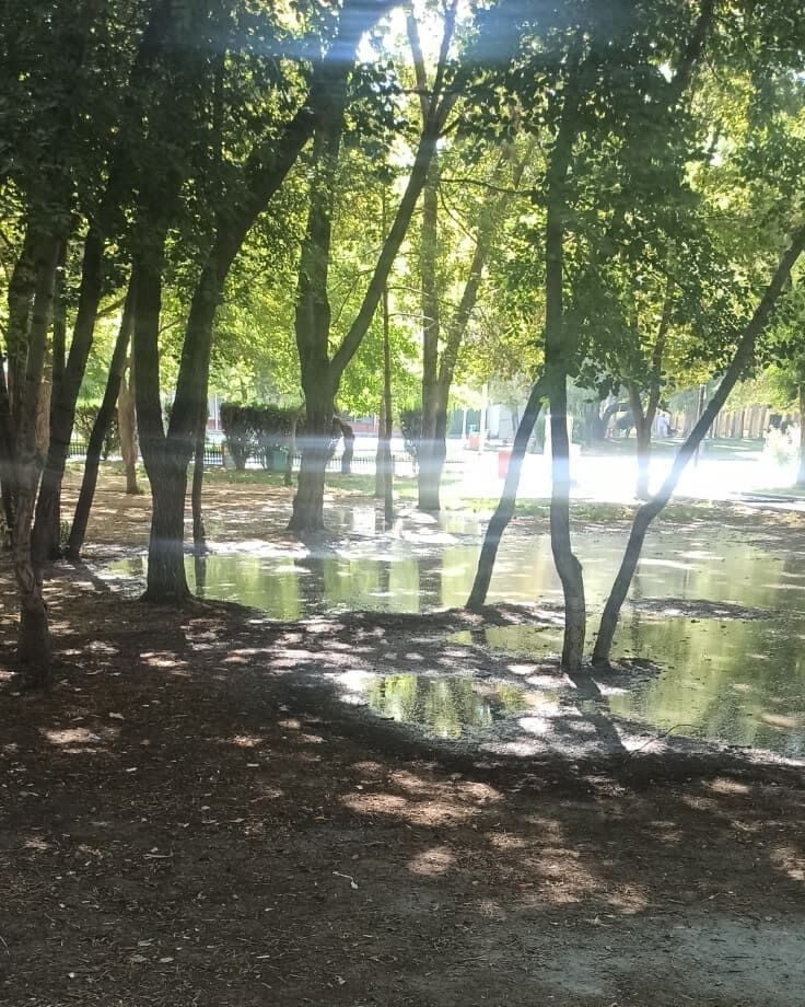 Van Kale Parkı'nda Sulama Tepkisi! Piknik Alanı Göle Döndü… (2)