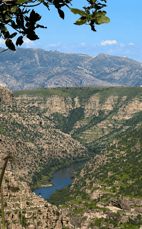 Van, Şırnak, Hakkâri Ve Siirt’i Kapsayan Yeni Kalkınma Hamlesi! Bestler Derneği Kuruldu (1)-1