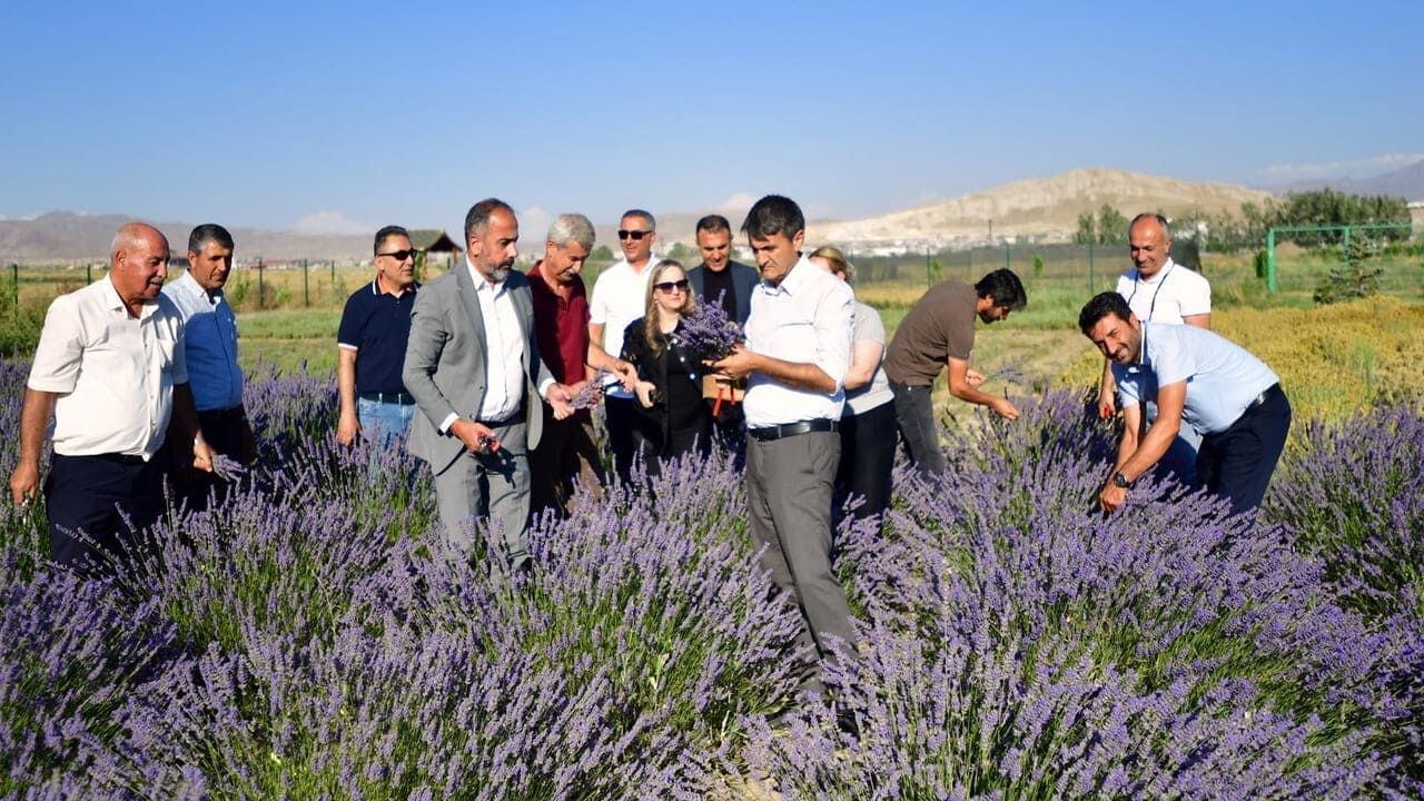 Van Yyü Tıbbi Ve Aromatik Bitkiler Bahçesi’nde Hasat Bayramı (2)