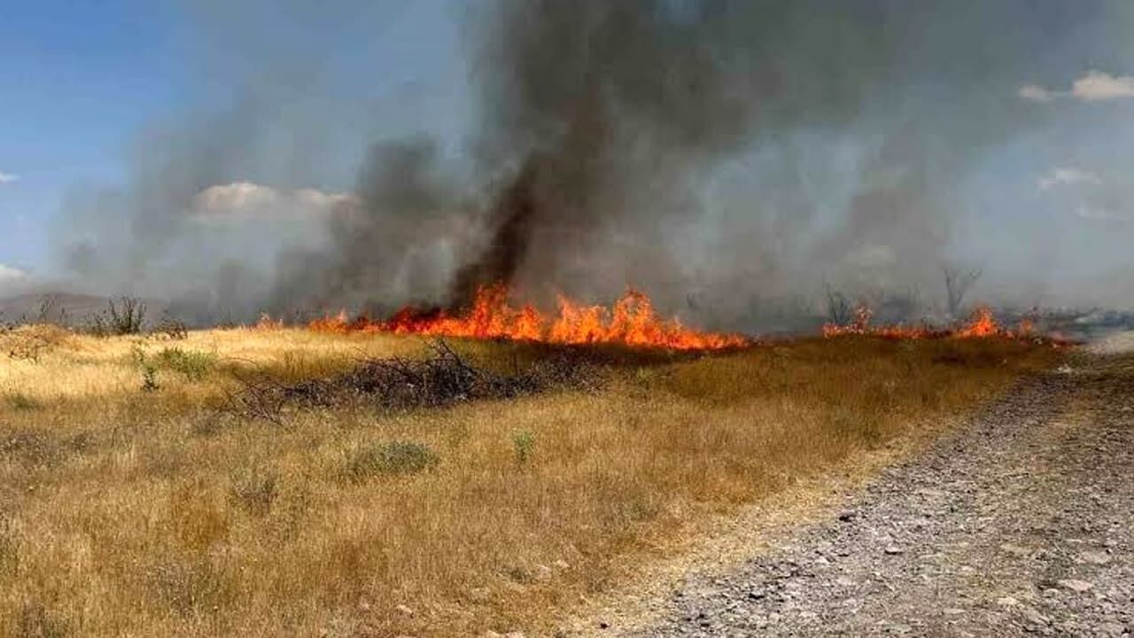 Van'da Çiftçinin Umudunu Yakmayın Uyarısı! (2)